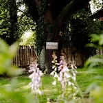 Отель Hotel Kolonieschaenke Бург