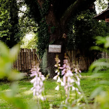 Hotel Kolonieschänke Burg (Spreewald)