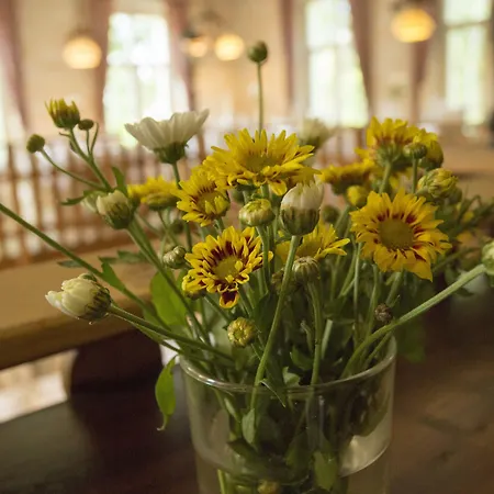 Kolonieschänke Burg (Spreewald)