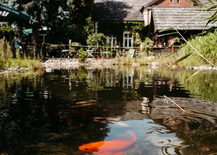 Hotel Kolonieschaenke Hotel