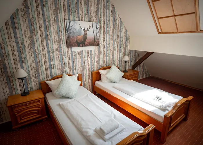 Hotel Hotel Kolonieschaenke 4*