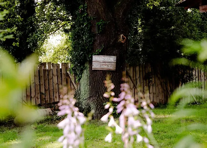 Hotel Kolonieschaenke Burg (Spreewald)